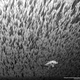 Image for article titled The winning images from Nat Geo's 2012 Photography Competition will blow you away